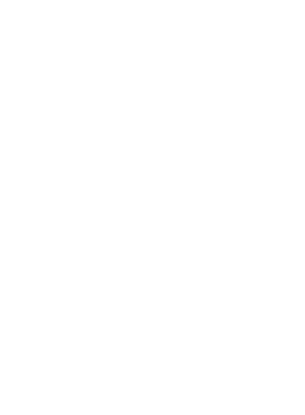 /products/overlays/14109607.png img