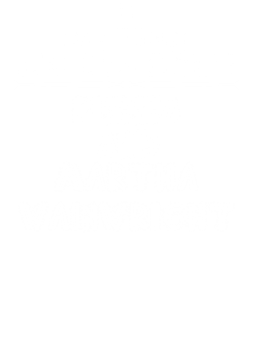 /products/overlays/14110002.png img