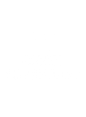 /products/overlays/14110345.png img