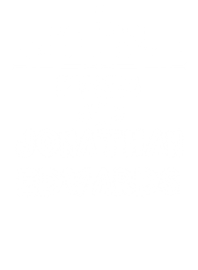 /products/overlays/14110679.png img