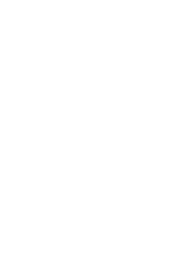 /products/overlays/14110798.png img