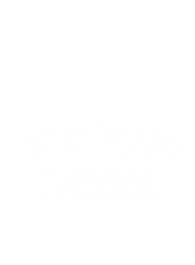 /products/overlays/14113113.png img