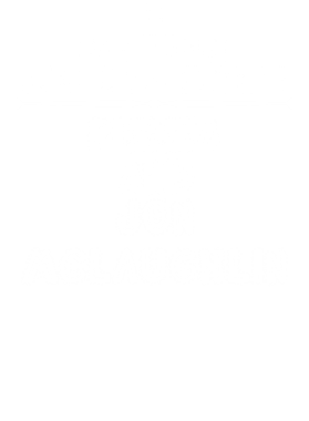 /products/overlays/14113355.png img