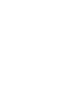 /products/overlays/14113575.png img