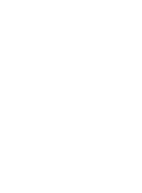 /products/overlays/14113995.png img