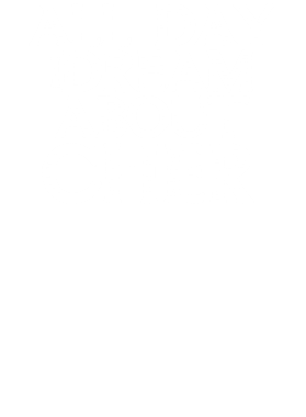 /products/overlays/17335490.png img