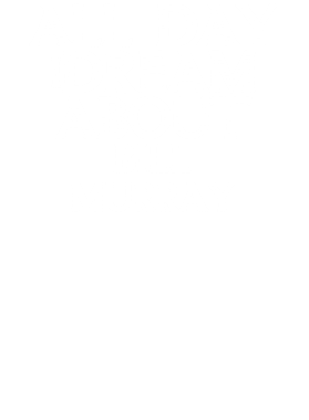 /products/overlays/17336483.png img