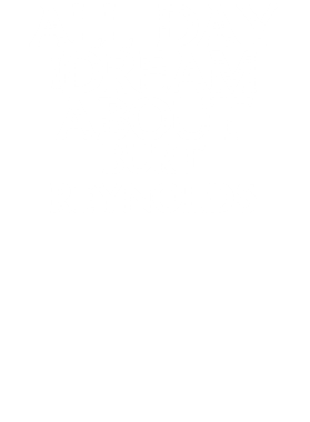 /products/overlays/17336829.png img