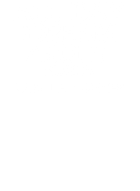 /products/overlays/17340901.png img