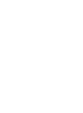 /products/overlays/17343873.png img