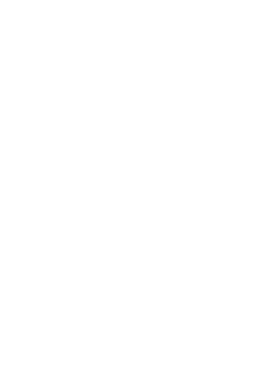 /products/overlays/17356278.png img