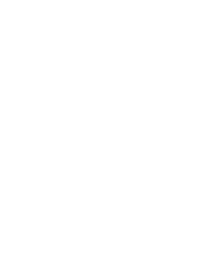 /products/overlays/17356343.png img