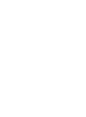 /products/overlays/17356731.png img