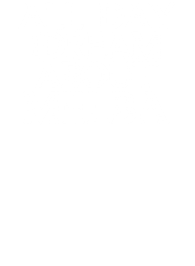 /products/overlays/17356777.png img