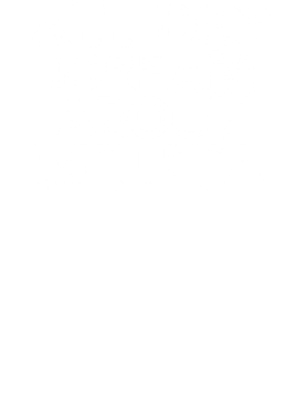 /products/overlays/17356820.png img