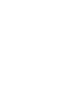 /products/overlays/17356950.png img