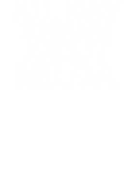 /products/overlays/17357132.png img