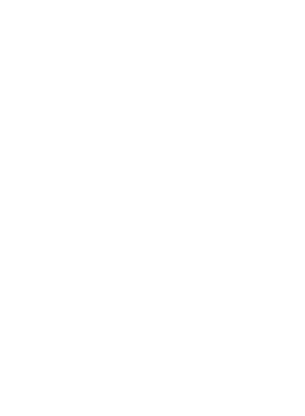 /products/overlays/17357234.png img