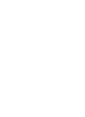 /products/overlays/17357366.png img