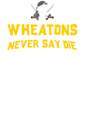 /products/overlays/17488445.png img