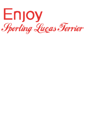 /products/overlays/20566164.png img