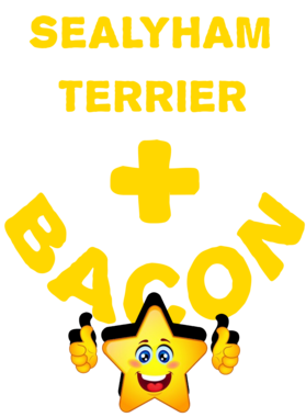 /products/overlays/21569108.png img