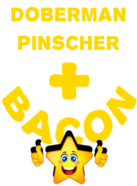 /products/overlays/21569507.png img