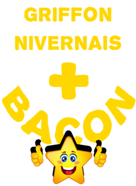 /products/overlays/21569563.png img