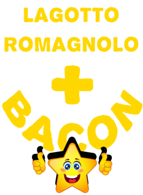 /products/overlays/21569624.png img