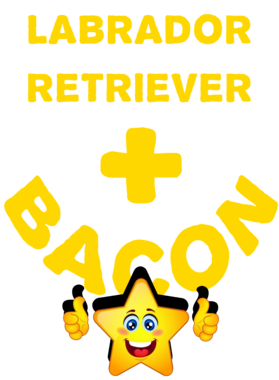 /products/overlays/21569997.png img