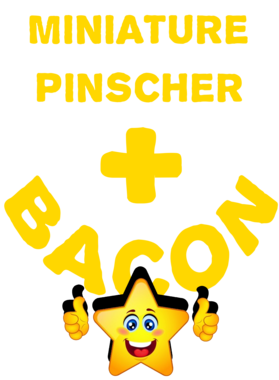 /products/overlays/21570065.png img