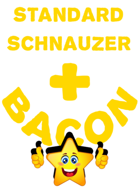 /products/overlays/21570210.png img