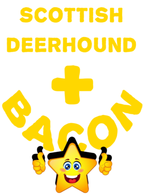 /products/overlays/21570243.png img