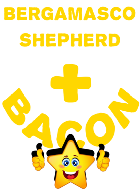 /products/overlays/21570439.png img