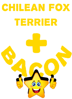 /products/overlays/21570489.png img