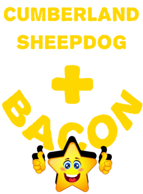 /products/overlays/21570524.png img