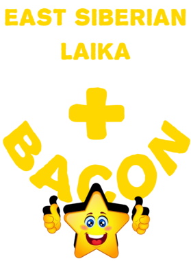 /products/overlays/21570587.png img