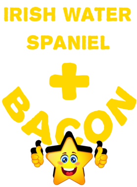 /products/overlays/21570700.png img