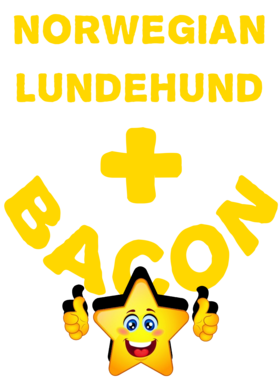 /products/overlays/21570762.png img