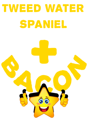 /products/overlays/21570939.png img