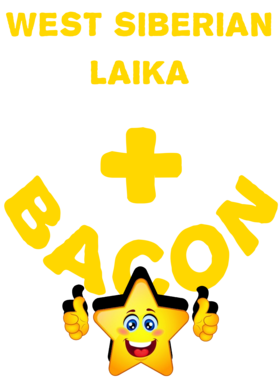 /products/overlays/21570956.png img