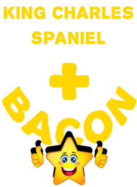 /products/overlays/21571258.png img