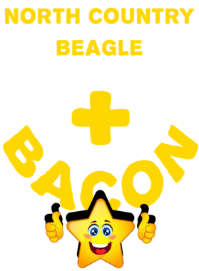 /products/overlays/21571328.png img