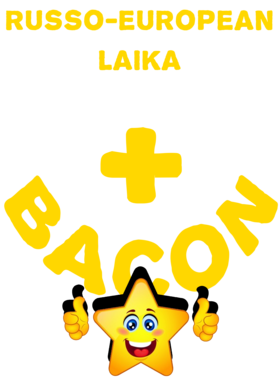 /products/overlays/21571402.png img