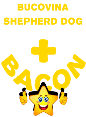 /products/overlays/21571501.png img