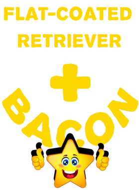 /products/overlays/21571579.png img