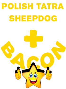 /products/overlays/21571713.png img