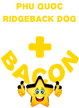 /products/overlays/21572136.png img