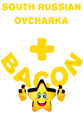 /products/overlays/21572149.png img