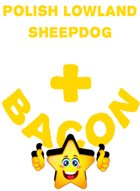 /products/overlays/21572433.png img